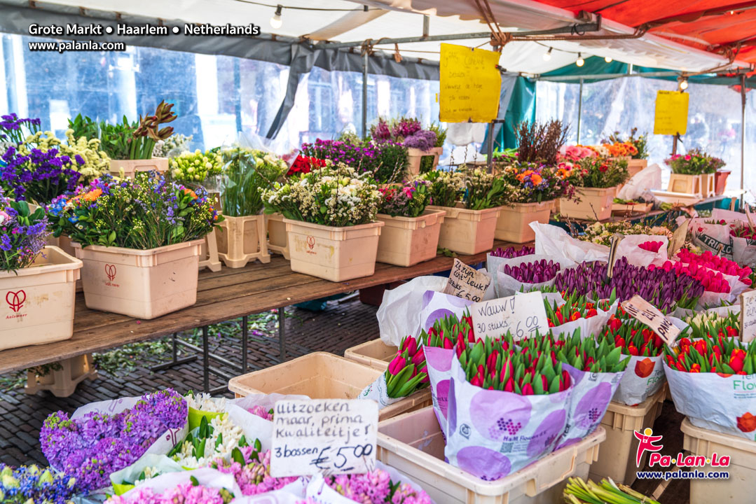 Grote Markt - Haarlem